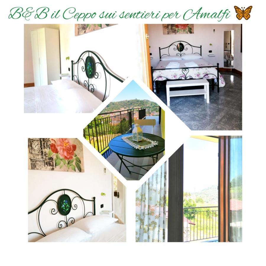 ピモンテ Il Ceppo Sui Sentieri Per Amalfi Bed & Breakfast エクステリア 写真